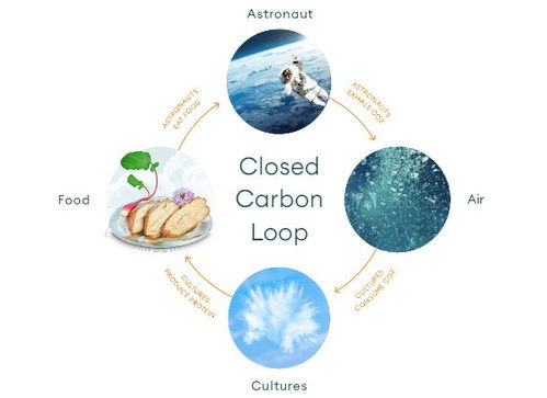 空氣造肉 生物技術(shù)顛覆食品科技，人類飲食革命或?qū)㈤_啟