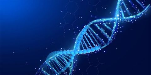 微生物DNA的悄然讀取 生物技術開發中的細胞與微生物“偶遇”